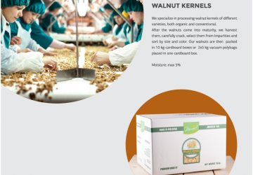 Walnut kernels in Packaging Image